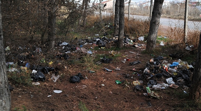 Ormanlık alan çöplüğe dönüştü