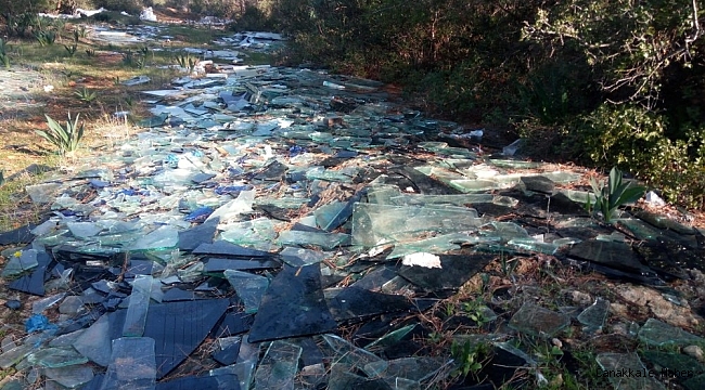 Ormanlık alanı çöplüğe çevirdiler
