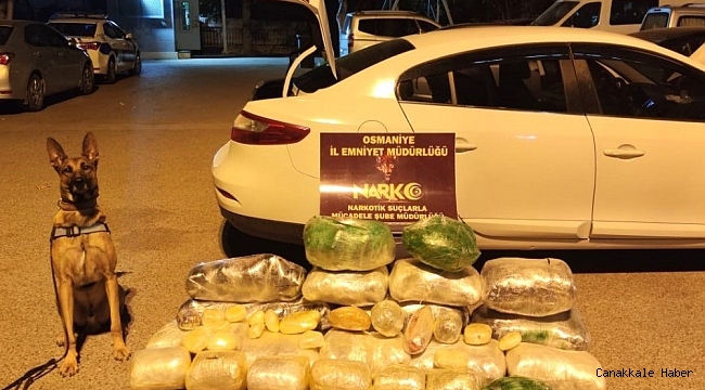 Osmaniye&#039;de narkotik operasyonlarına 225 tutuklama