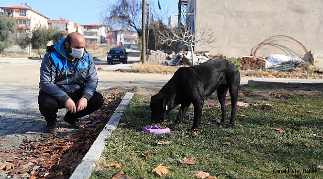 Pamukkale Belediyesi her zaman görevde