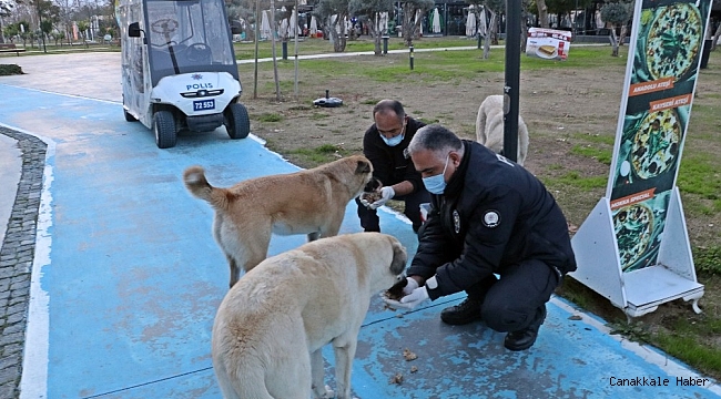 Polislerin 'Merhamet' devriyesi