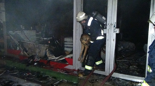 Sahibini kurtarmak için yanan işyerine giren köpek sahibiyle buluştu