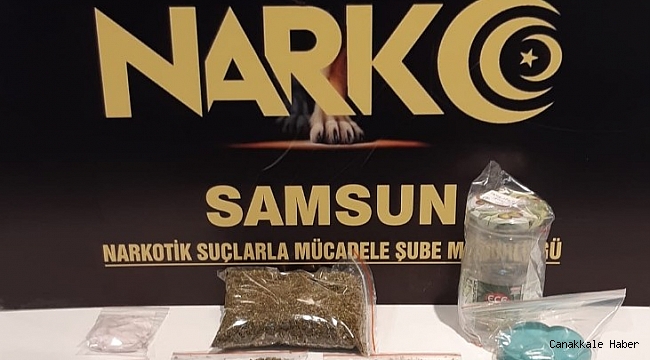 Samsun&#039;da bonzai ile yakalanan 2 kişi gözaltına alındı