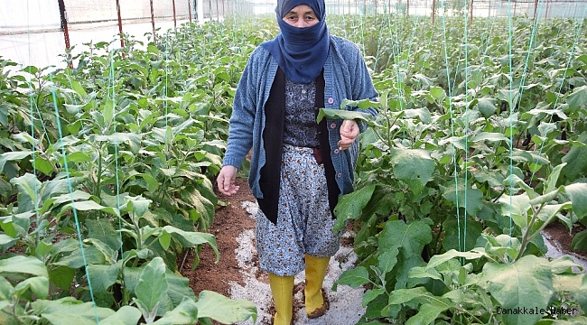 Serası dolu nedeniyle zarar gören kadın çiftçinin tepkisi: &quot;Patlıcan pahalı diyenler şu halimize baksınlar&quot;