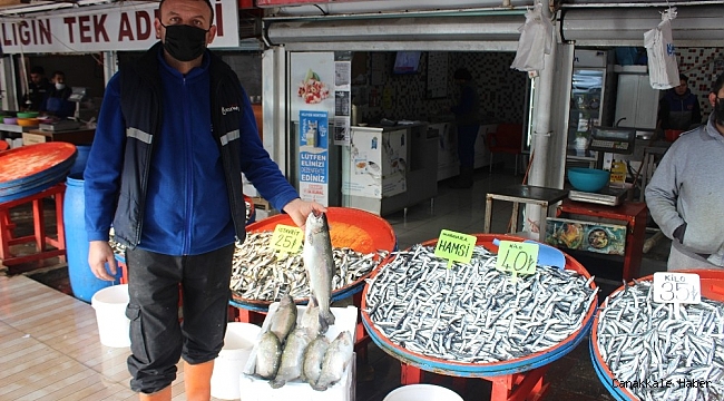 Sıcak havalar hamsi fiyatlarını vurdu