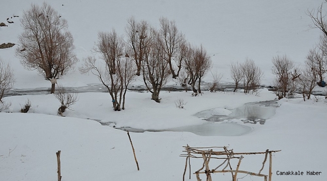 Sıcaklık eksi 20'ye düştü ağaçlar buz tuttu