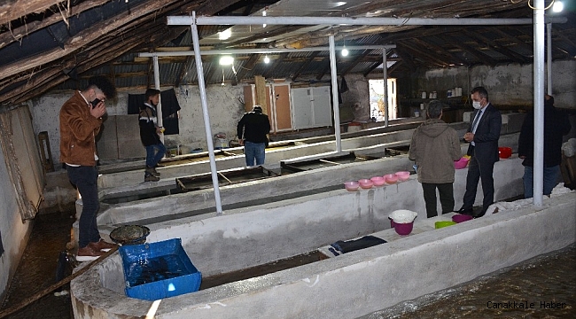 Şırnak'taki tek balık tesisi 5 aileye ekmek kapısı oldu