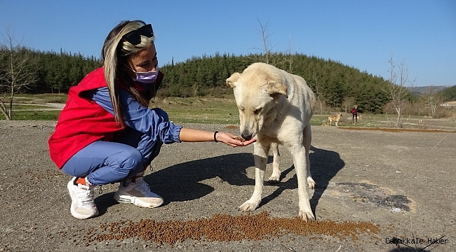 Sokağa çıkma kısıtlamasında dağdaki hayvanları besleyip çöp topladılar