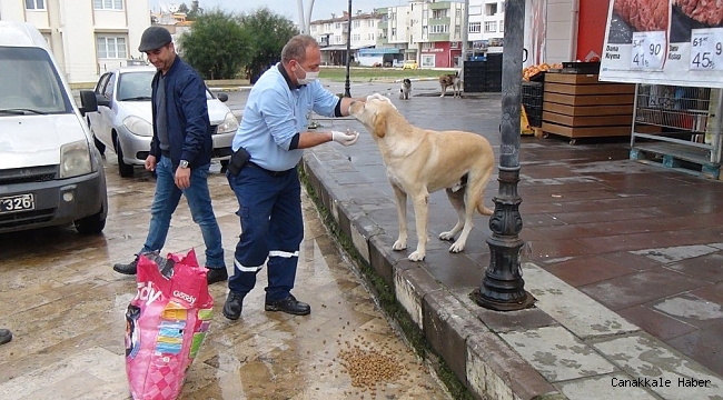 Sokağa çıkma kısıtlamasında sokak hayvanları unutulmadı