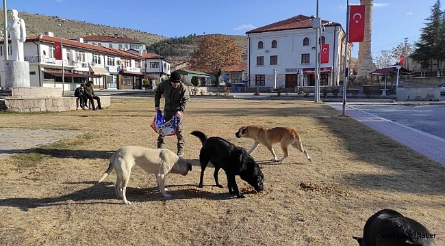 Sokağa çıkma yasağında sevimli patiler unutulmadı