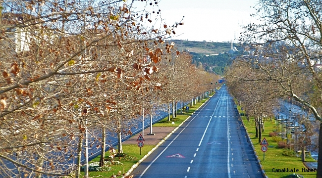Sokağa doğanın sesi hakim