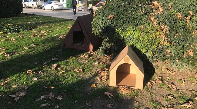 Sokak hayvanları için 20 yeni kulübe