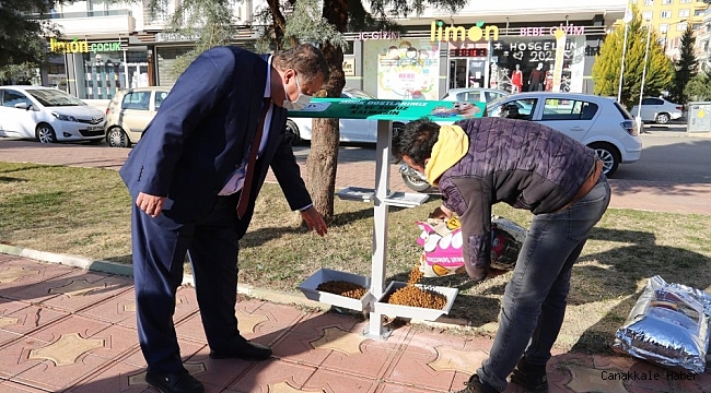 Sokak hayvanları unutulmadı