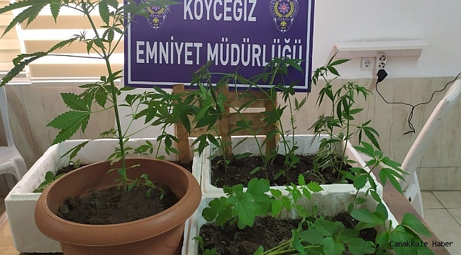 Suç Araştırma ve Soruşturma Büro Amirliği Ekipleri 2020&#039;de 51 operasyon gerçekleştirdi