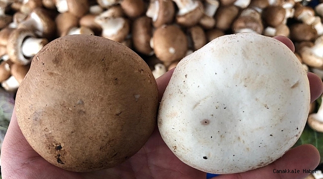 Tadına bakan tekrar alıyor