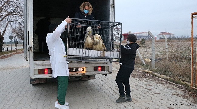 Tedavisi ve rehabilitasyonu tamamlanan 9 yaban hayvanı Ormanya Doğal Yaşam Parkına yolcu edildi