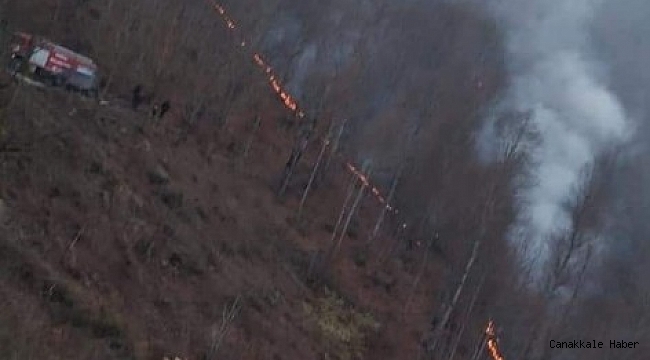 Tokat&#039;ta, örtü yangını
