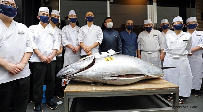 Tokyo&#039;daki balık pazarında geleneksel yeni yıl mezatı