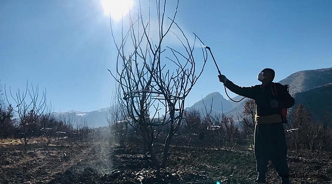 Uludere&#039;de çiftçiye bordo bulamacı eğitimi