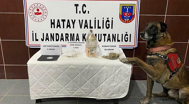 Uyuşturucuyu "Cesur" buldu