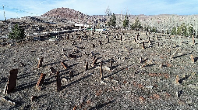 Uzunlukları insan boyunu aşıyor, her biri gökten düşmüş gibi