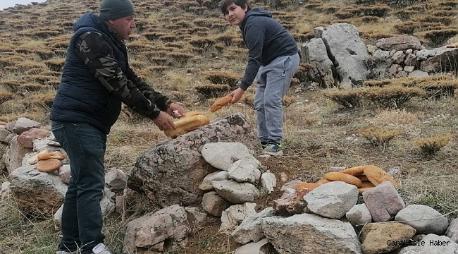 Yaban hayvanlarına yem bırakıldı