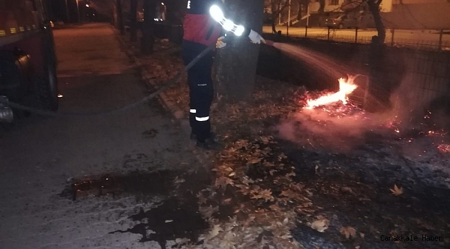 Yaprak yangını büyümeden söndürüldü