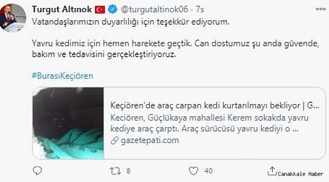 Yaralı kediye Keçiören Belediyesi sahip çıktı