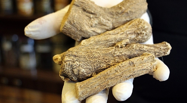 Yeryüzünün en güçlü antibiyotiği: &#039;Udi hindi&#039;