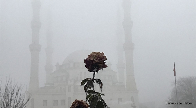 Yoğun sis kartpostallık görüntüler oluşturdu