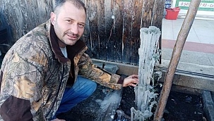 Fidanlar buz tuttu, güneş enerji sistemleri patladı