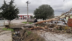 Fırtına ağaçları ve elektrik tellerini devirdi