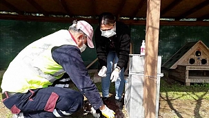Kedi köyünde sağlık kontrolleri devam ediyor
