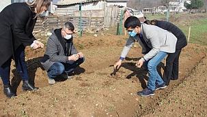 Salep fideleri gelişmeye devam ediyor