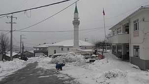 Yenice Taban köyü karantinaya alındı