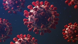 365 günde 58 milyondan fazla koronavirüs haberi yapıldı