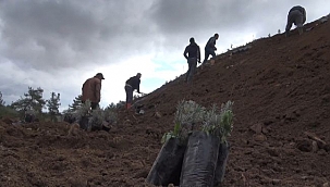 8 muhtardan daha madene destek açıklaması