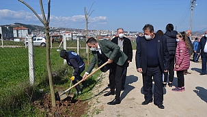 Biga Yeniceköy mahallesi ağaçlandırıldı