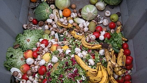 Gıda israfında ürküten boyut