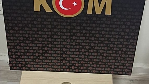 Çanakkale’de deniz yıldızı fosili ele geçirildi