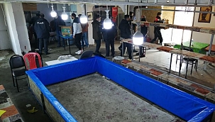 Horoz dövüşünde 54 gözaltı