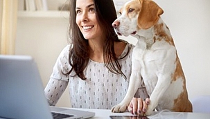 Space’in Türkçe sürümü yayınlandı