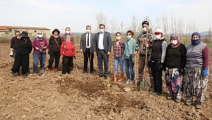 Yerel meyve mirası bahçesi'nin ilk adımı atıldı