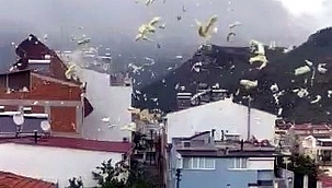 Fırtına nedeniyle çatılar uçtu