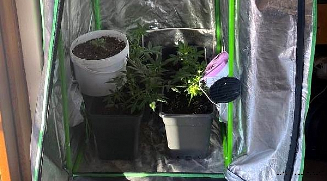 Öğrenci gardırobu uyuşturucu serası oldu