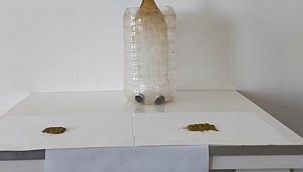 Uyuşturucu operasyonu: 5 gözaltı