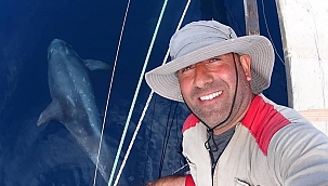 Boz yunus balıkları Gökçeada açıklarında görüldü