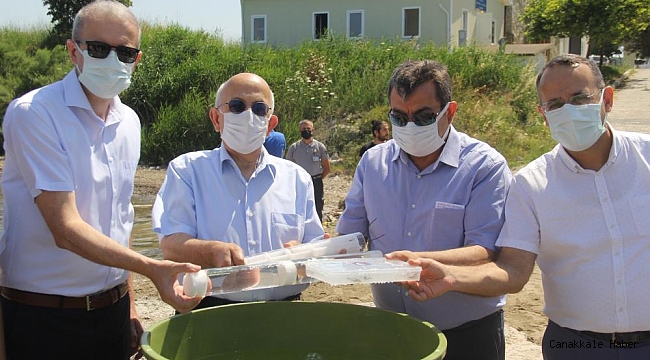 ÇOMÜ’nün ıstakoz yavruları Çanakkale Boğazı’na bırakıldı