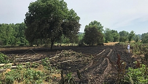 Enerji nakil hatları kopunca yangın çıktı