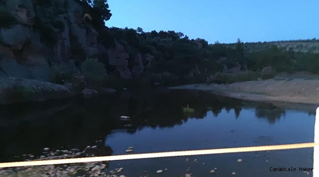 Koyunlarını yıkamak için girdiği gölette boğuldu